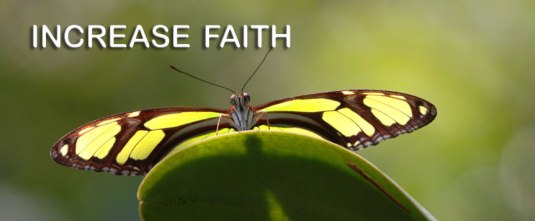 Increase-Faith-PB2